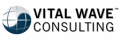 Vital Wave Consulting Inc.