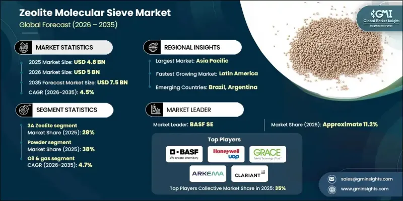 Zeolite Molecular Sieve Market-IMG1
