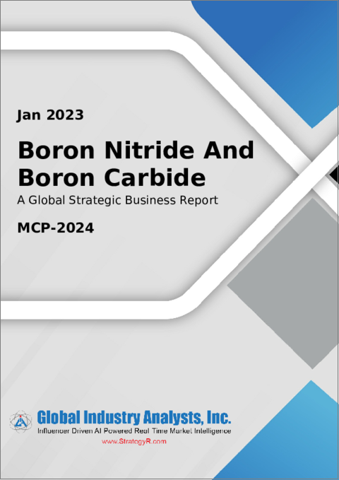 表紙：窒化硼素と炭化硼素の世界市場