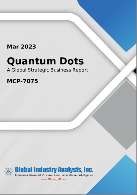 表紙：量子ドットの世界市場 2023