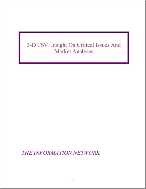 表紙：3D TSV：重要課題の考察と市場の分析