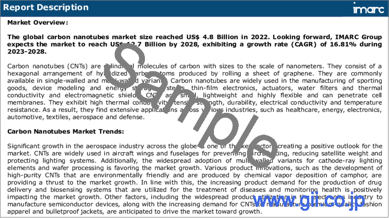 サンプル1：カーボンナノチューブ市場：世界の産業動向、シェア、規模、成長機会、2023-2028年予測