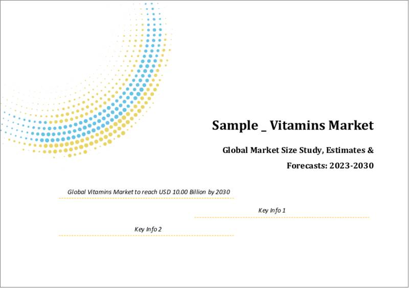 表紙：ビタミンの世界市場規模調査＆予測、由来別、タイプ別、用途別、地域別分析、2023-2030年