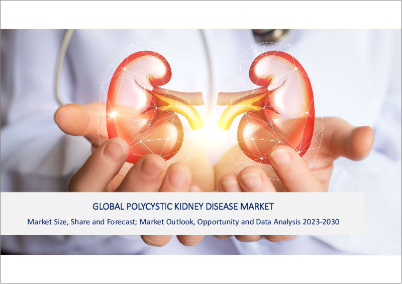 表紙：多発性嚢胞腎の世界市場 (2023年～2030年)