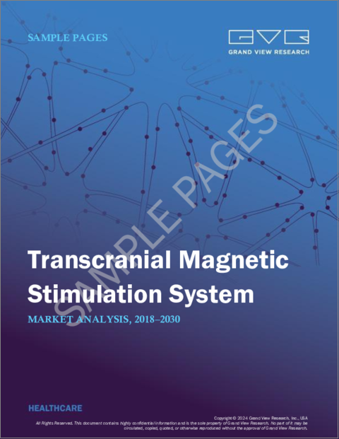 表紙：TMSシステム（経頭蓋磁気刺激システム）の市場規模、シェア、動向分析レポート：タイプ別、用途別、年齢層別、地域別、セグメント別予測、2023年～2030年