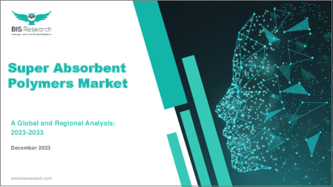表紙：高吸水性樹脂市場：世界および地域分析 (2023-2033年)