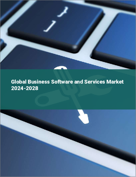 表紙：ビジネス・ソフトウェア・サービスの世界市場 2024-2028