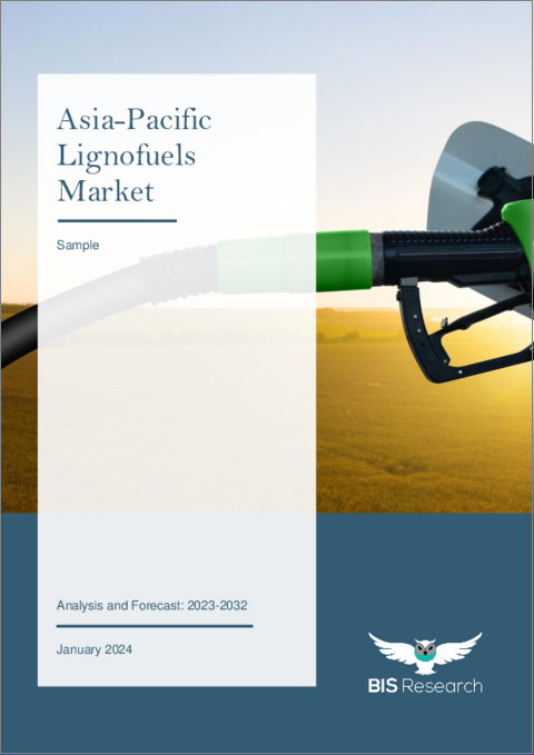表紙：アジア太平洋のリグノ燃料市場：分析と予測（2023年～2032年）