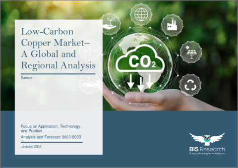 表紙：低炭素銅市場：世界および地域別分析：用途別、技術別、製品別-分析と予測（2023年～2033年）