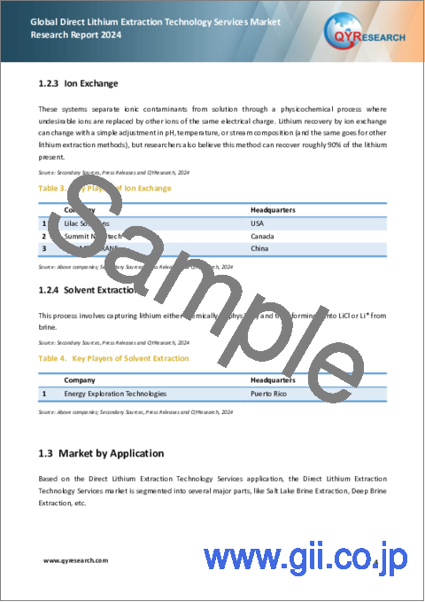 サンプル1：DLE (直接リチウム抽出) 技術サービスの世界市場：2024年