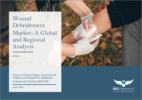 表紙：創面切除の世界市場：世界および地域の分析 - 製品・地域・国別の分析・競合情勢・予測 (2023-2030年)