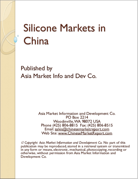 表紙：中国のシリコーン市場