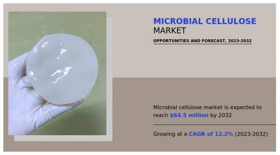 Microbial cellulose Market-IMG1
