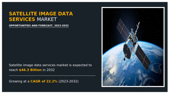 Satellite Image Data Services Market-IMG1