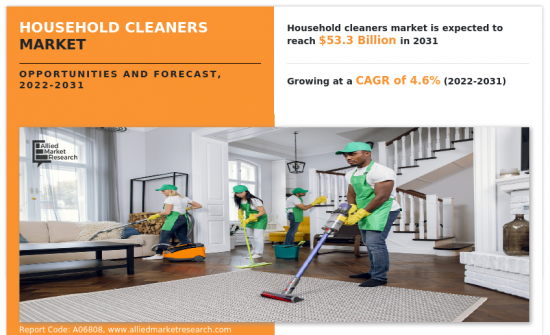 Household Cleaners Market-IMG1