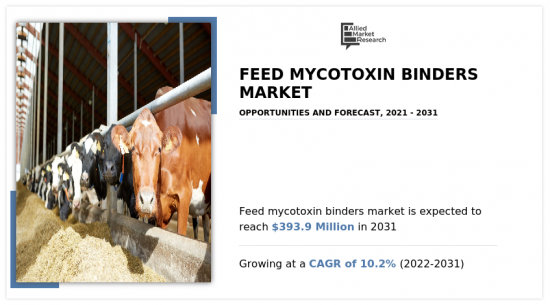 Feed Mycotoxin Binders Market-IMG1