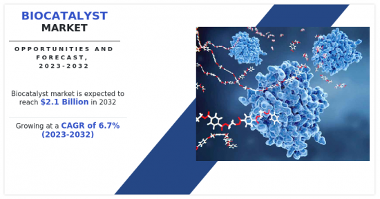 Biocatalyst Market-IMG1