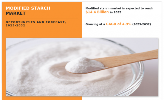 Modified Starch Market-IMG1