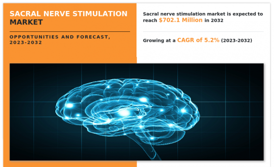 Sacral Nerve Stimulation Market-IMG1
