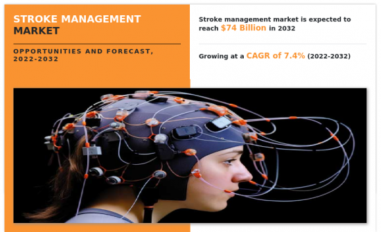 Stroke Management Market-IMG1