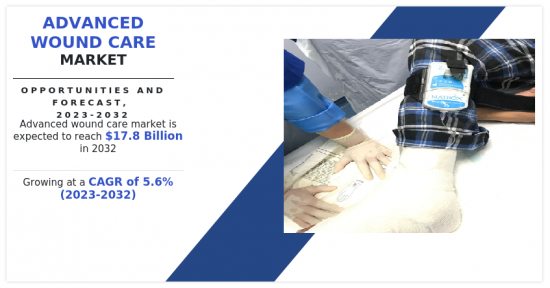 Advanced Wound Care Market-IMG1