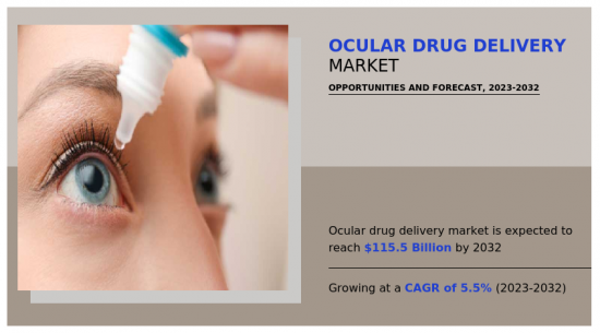 Ocular Drug Delivery Market-IMG1