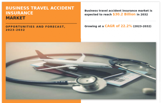 Business Travel Accident Insurance Market-IMG1