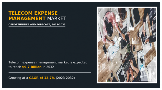 Telecom Expense Management Market-IMG1