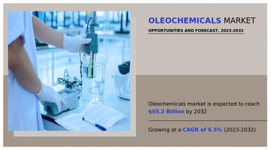 Oleochemicals Market-IMG1