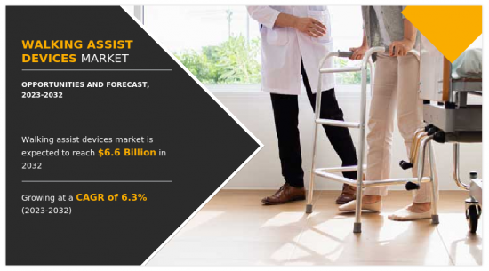 Walking Assist Devices Market-IMG1