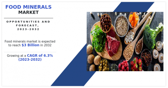 Food Minerals Market-IMG1
