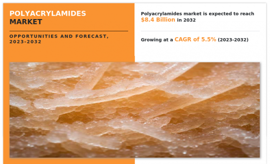 Polyacrylamides Market-IMG1