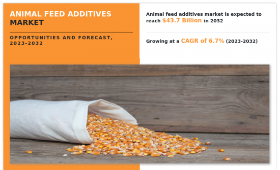 Animal Feed Additives Market-IMG1