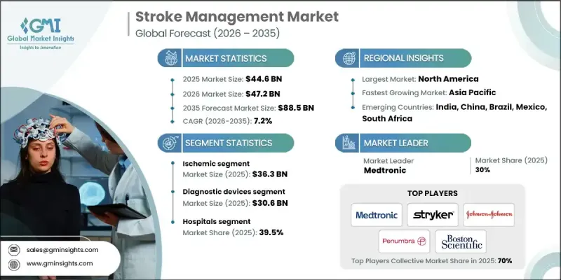 Stroke Management Market-IMG1