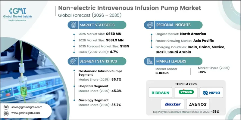 Non-electric Intravenous Infusion Pump Market-IMG1