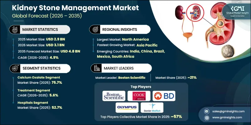 Kidney Stone Management Market-IMG1