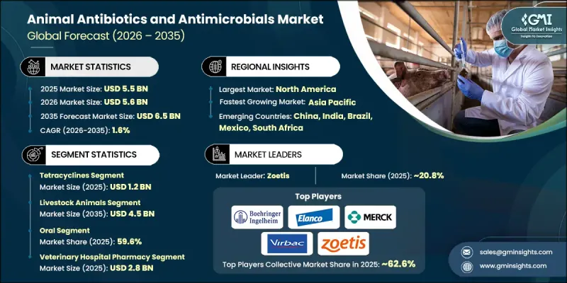 Animal Antibiotics and Antimicrobials Market-IMG1