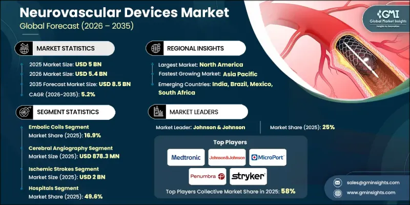 Neurovascular Devices Market-IMG1