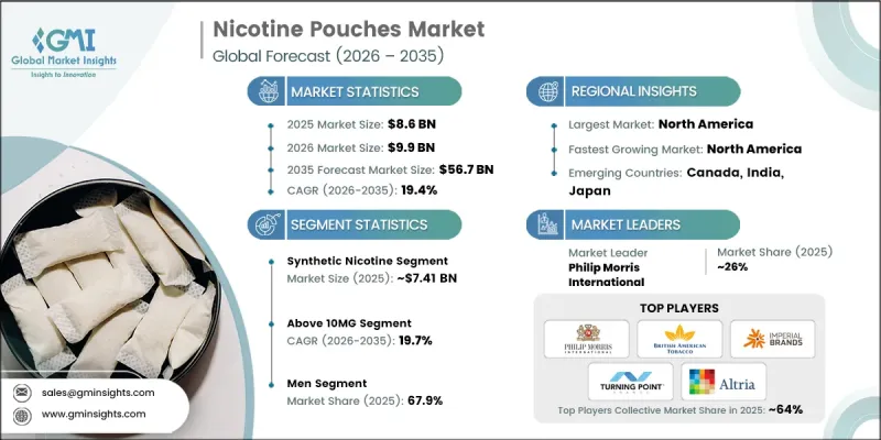 Nicotine Pouches Market-IMG1