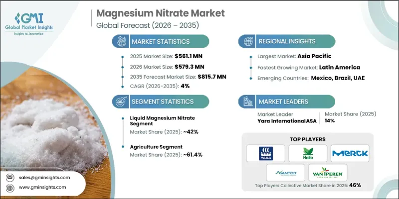 Magnesium Nitrate Market-IMG1