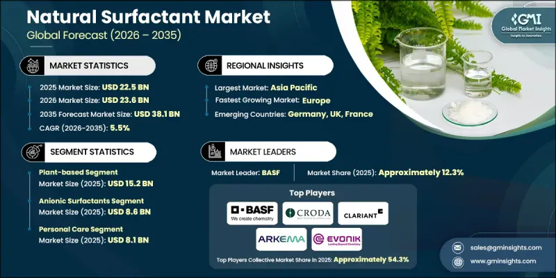 Natural Surfactant Market-IMG1