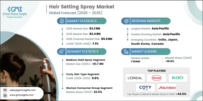 Hair Setting Spray Market-IMG1
