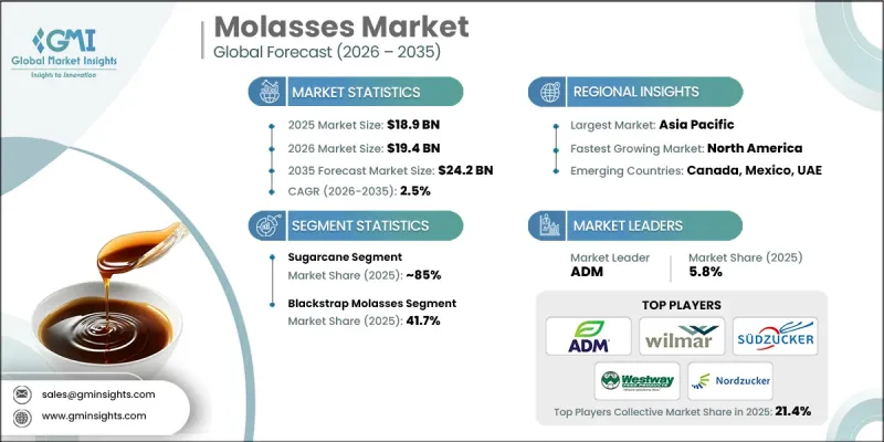 Molasses Market-IMG1