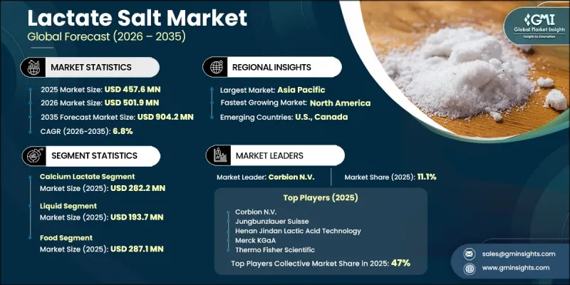 Lactate Salt Market-IMG1
