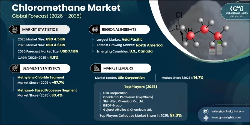Chloromethane Market-IMG1