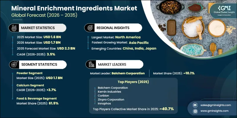 Mineral Enrichment Ingredients Market-IMG1