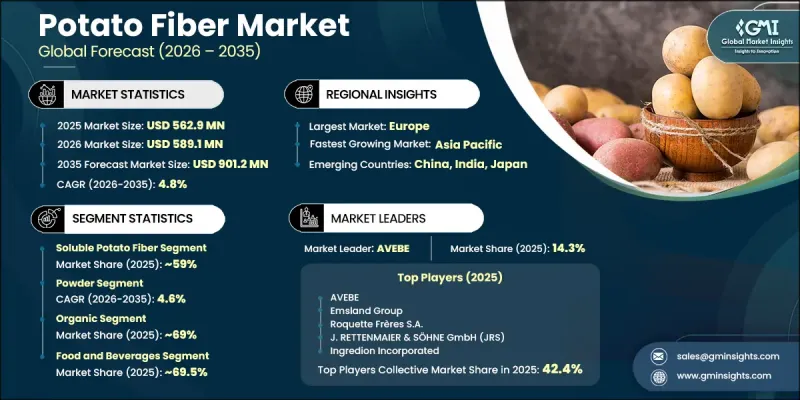 Potato Fiber Market-IMG1