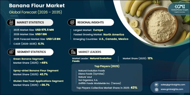 Banana Flour Market-IMG1