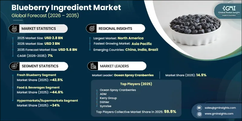 Blueberry Ingredient Market-IMG1