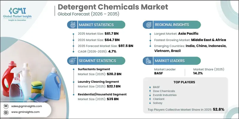Detergent Chemicals 市場-IMG1